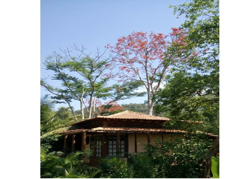 Paraty Villa D'Agua Temporada Eksteriør billede